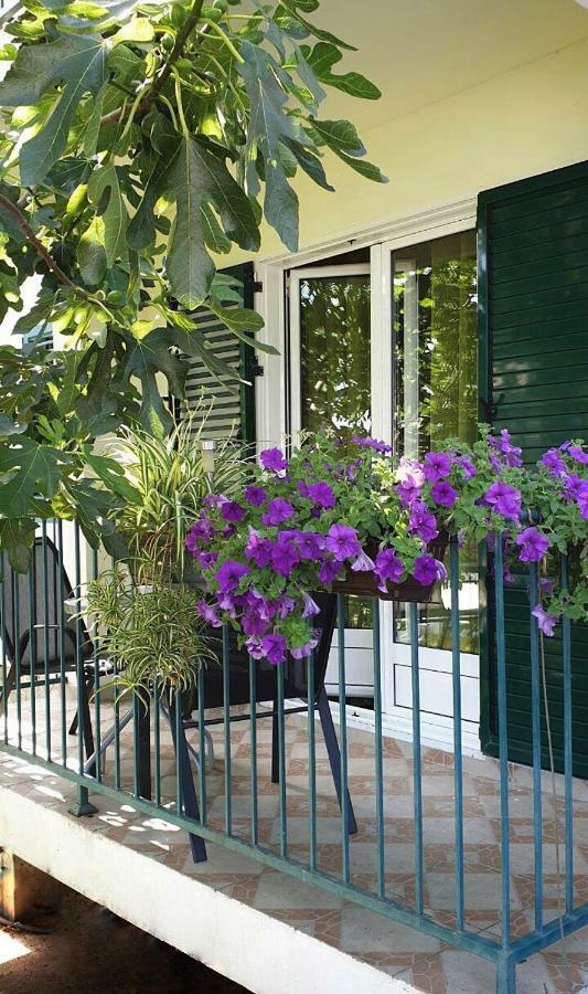 Lav Apartments Herceg Novi Exterior foto
